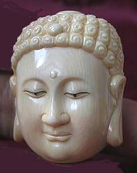 Ivory Buddha head - Chinese 20th C